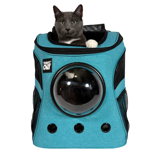 "The Fat Cat" Cat Backpack in Aqua - For Larger Cats