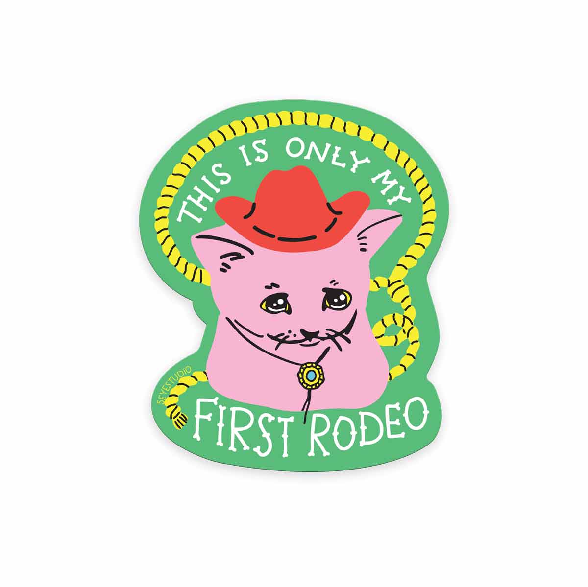 Kitten's First Rodeo
