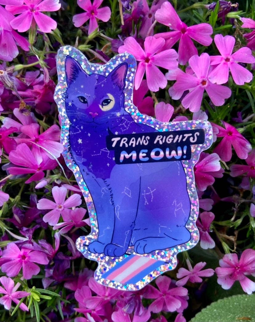 Trans Rights Meow! - Sticker (Glitter)