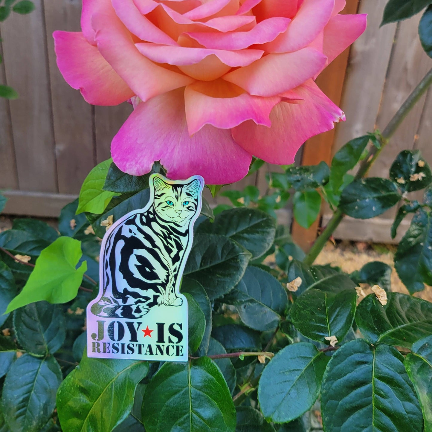 Joy Is Resistance 4" Holographic vinyl sticker