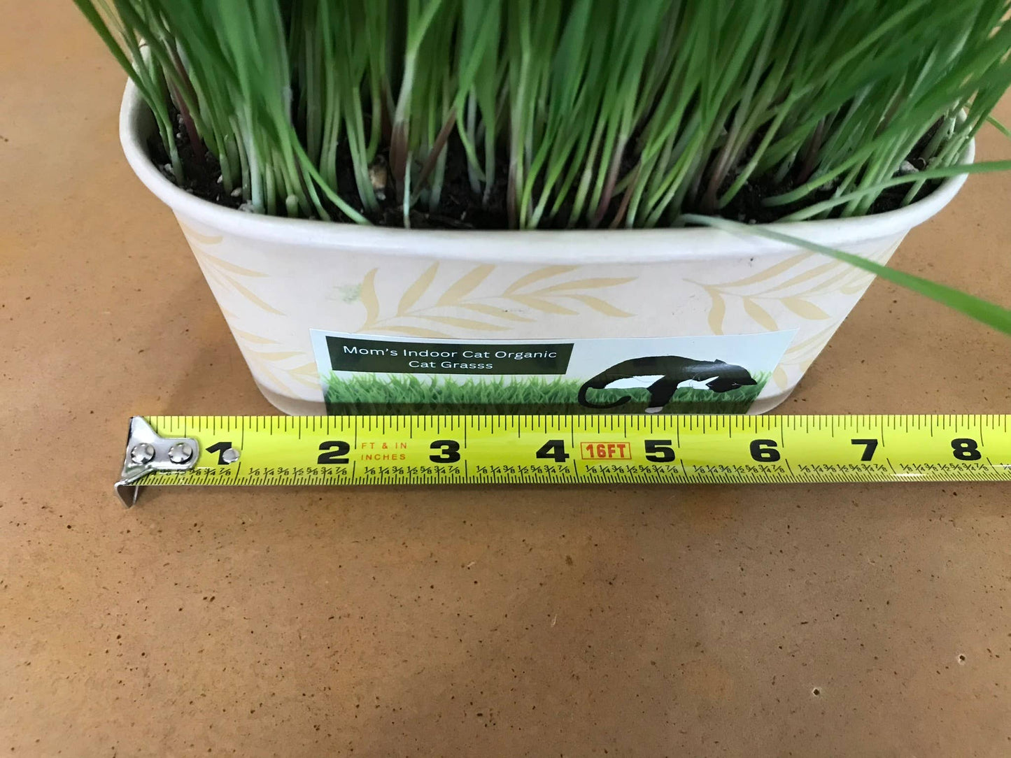 Compostable Cat Grass Bowl