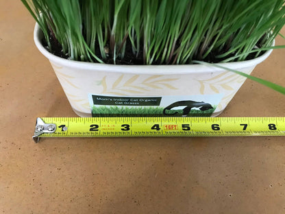 Compostable Cat Grass Bowl