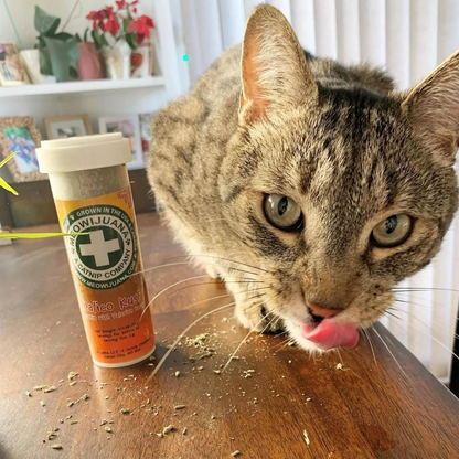 Kalico Kush - Valerian Root and Catnip Blend