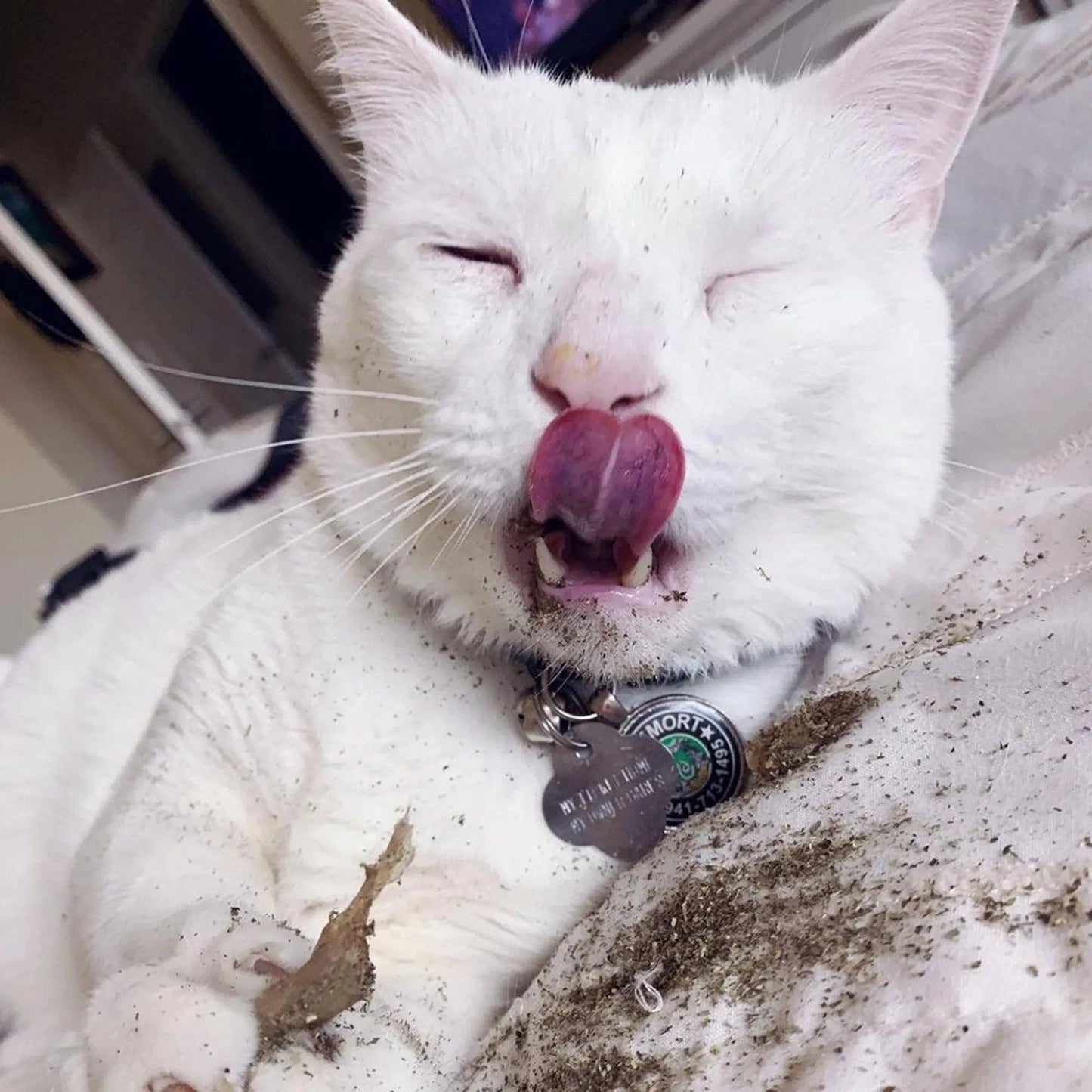 Meowijuana® Catnibas® King Size Rollies