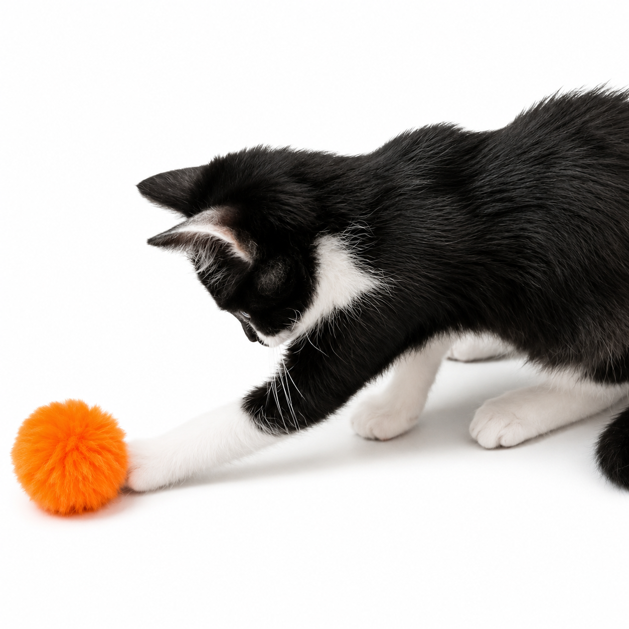 Puffy Poof Plush Pom Cat Toy