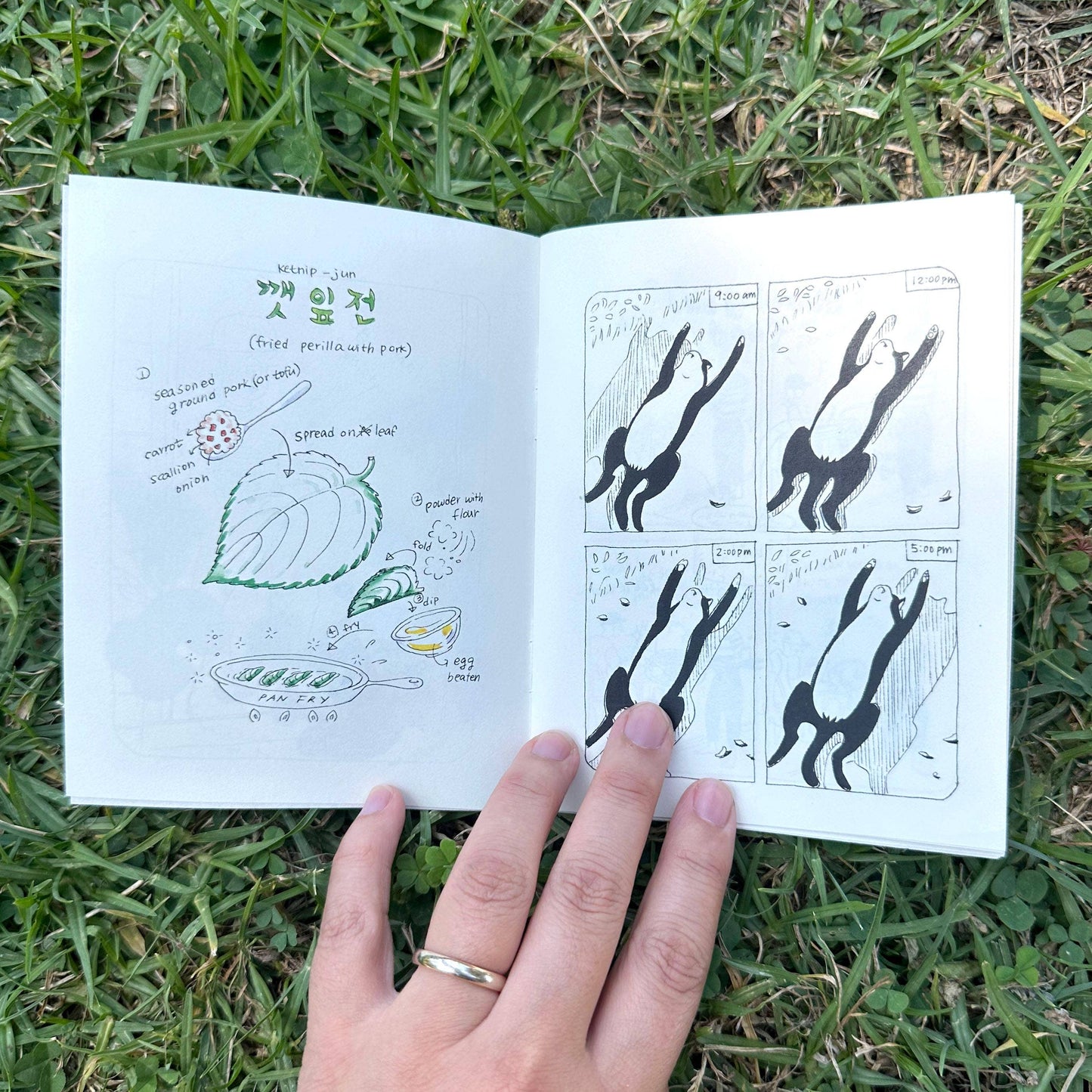 Korean American Cooking Comics - Garden