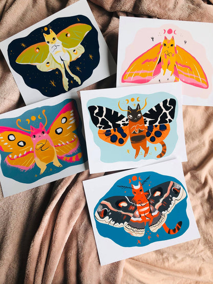 Pink elephant moth cat 8x10 high quality matte print