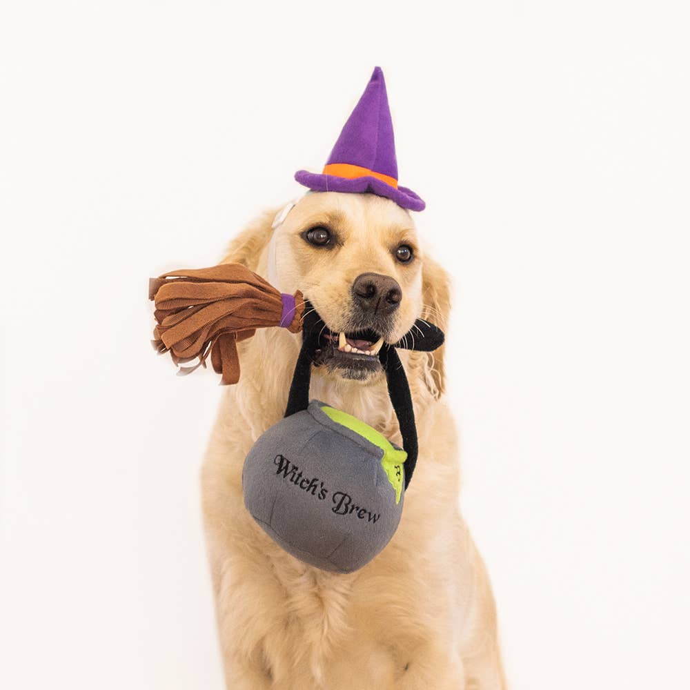 Pet Halloween Costume Kit - Witch