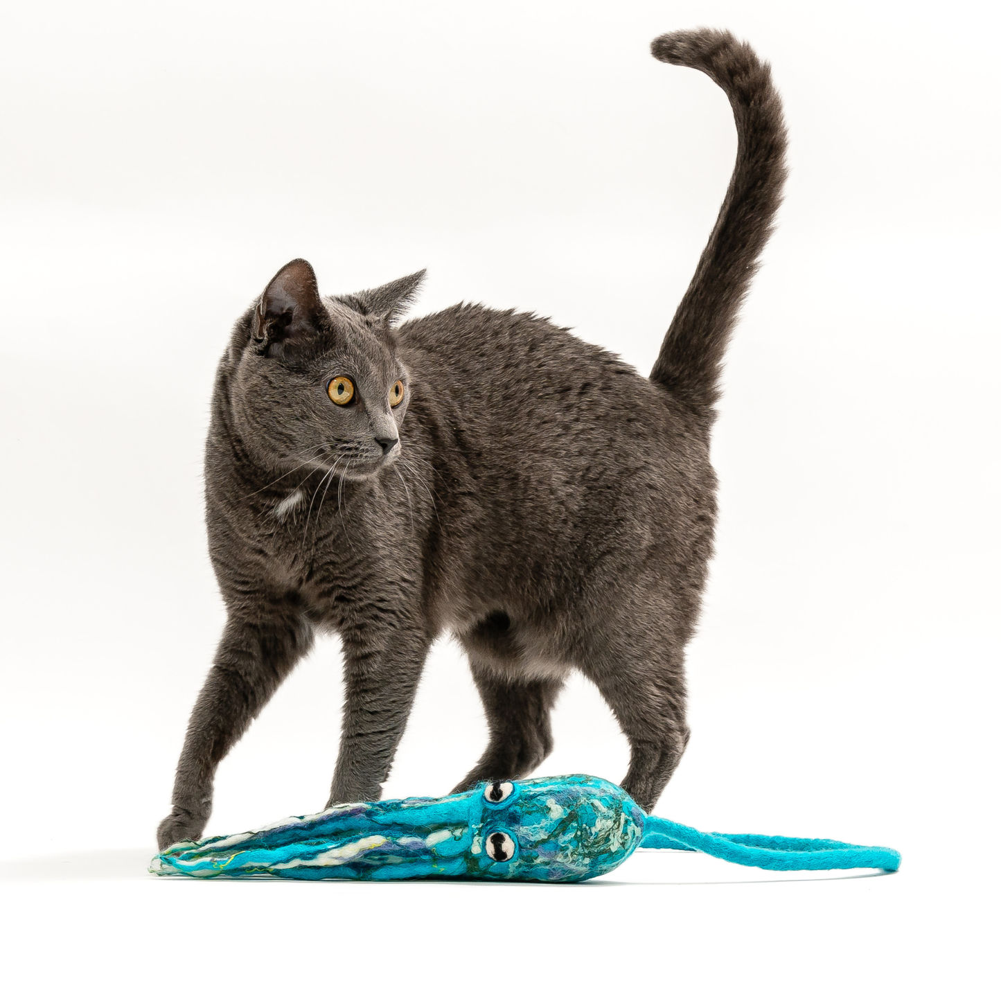 Wool Octopus Cat Toy with 4-Foot Tether - blue, green