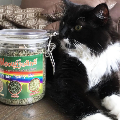 Meowijuana® Jar of Catnibas® Catnip Pawty Mix