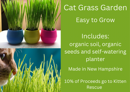 Cat Grass Garden