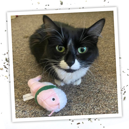 Get Wrapped Shrimp Sushi Roll Refillable Catnip Cat Toy