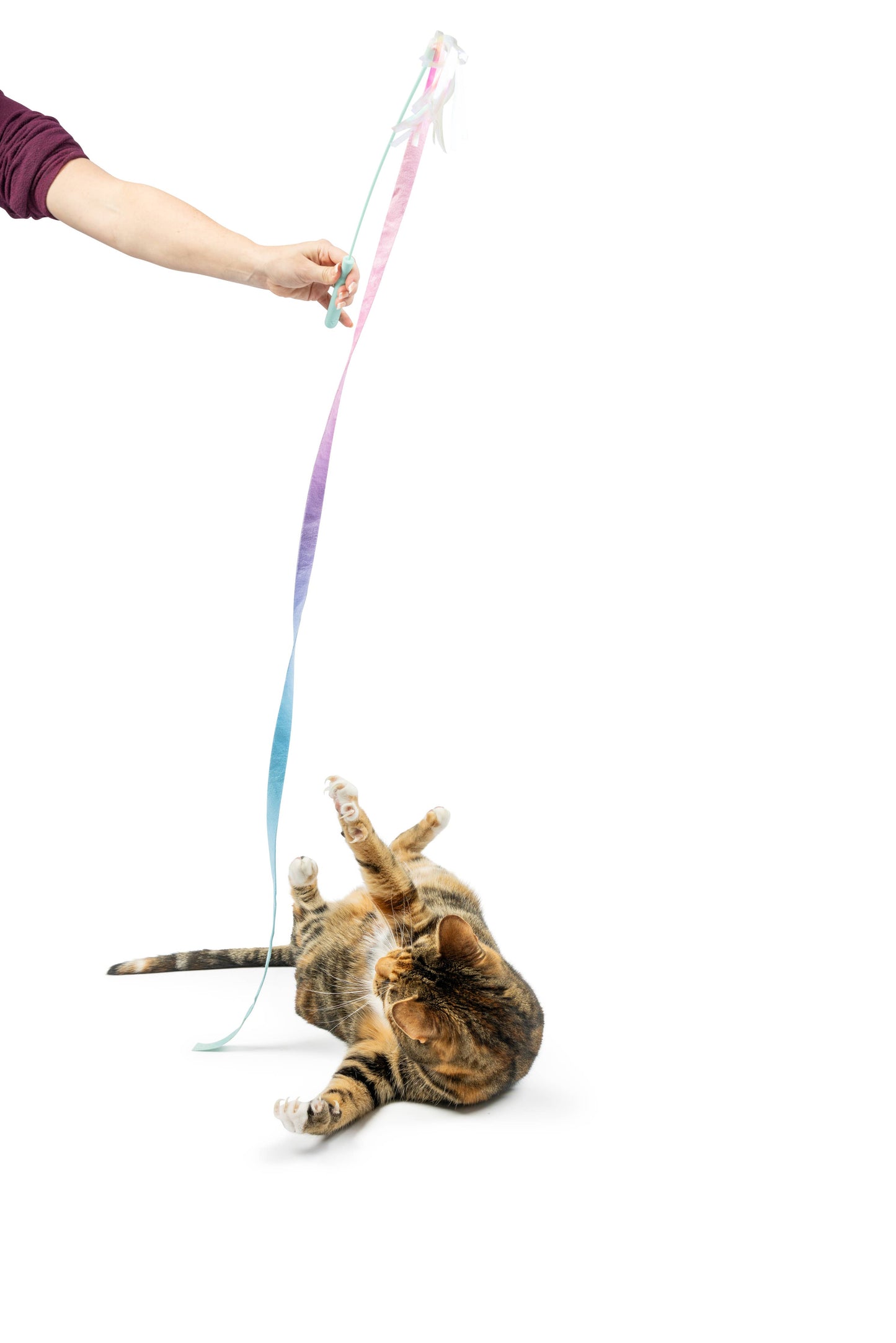 Dance & Lure Pastel Wand Cat Toy