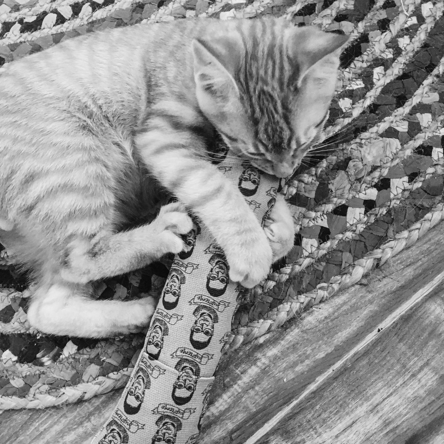 Ciao Gatto Cat Market - Winnifred’s Wild Weed Organic Catnip Cat Kicker 