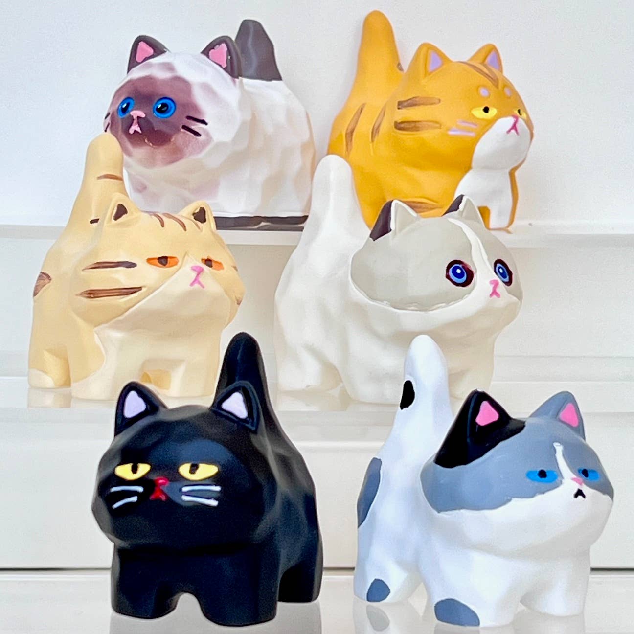 Cat Family Blind Box