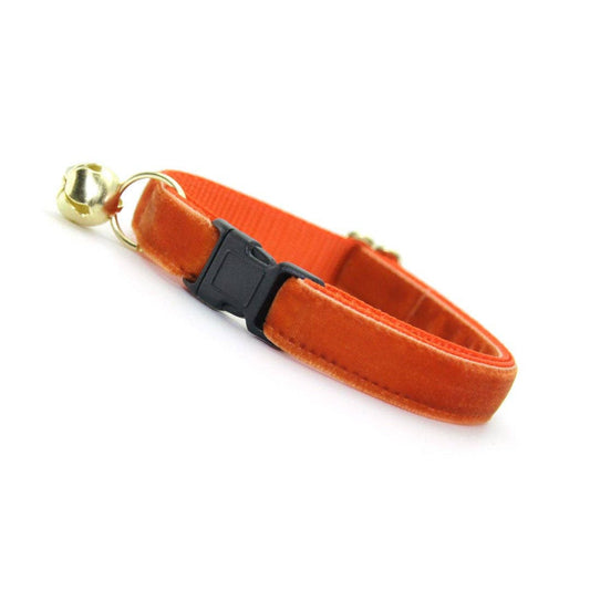 "Velvet - Roasted Pumpkin" Burnt Orange Velvet Collar