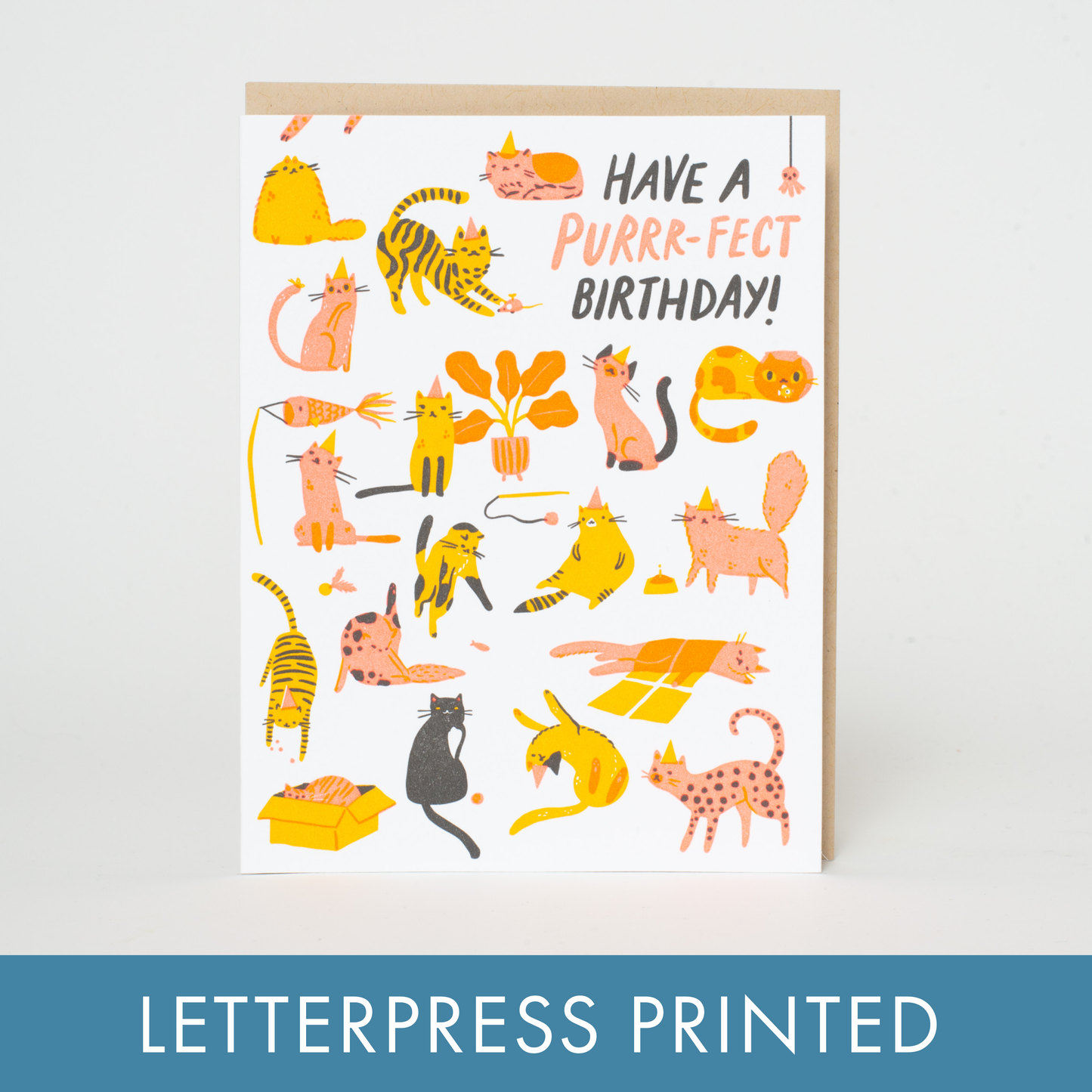 Egg Press Manufacturing - Birthday Purr-fect Cats Letterpress Greeting Card by Hello!Lucky