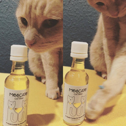Cat Wine MosCATo Liquid Catnip For Cats