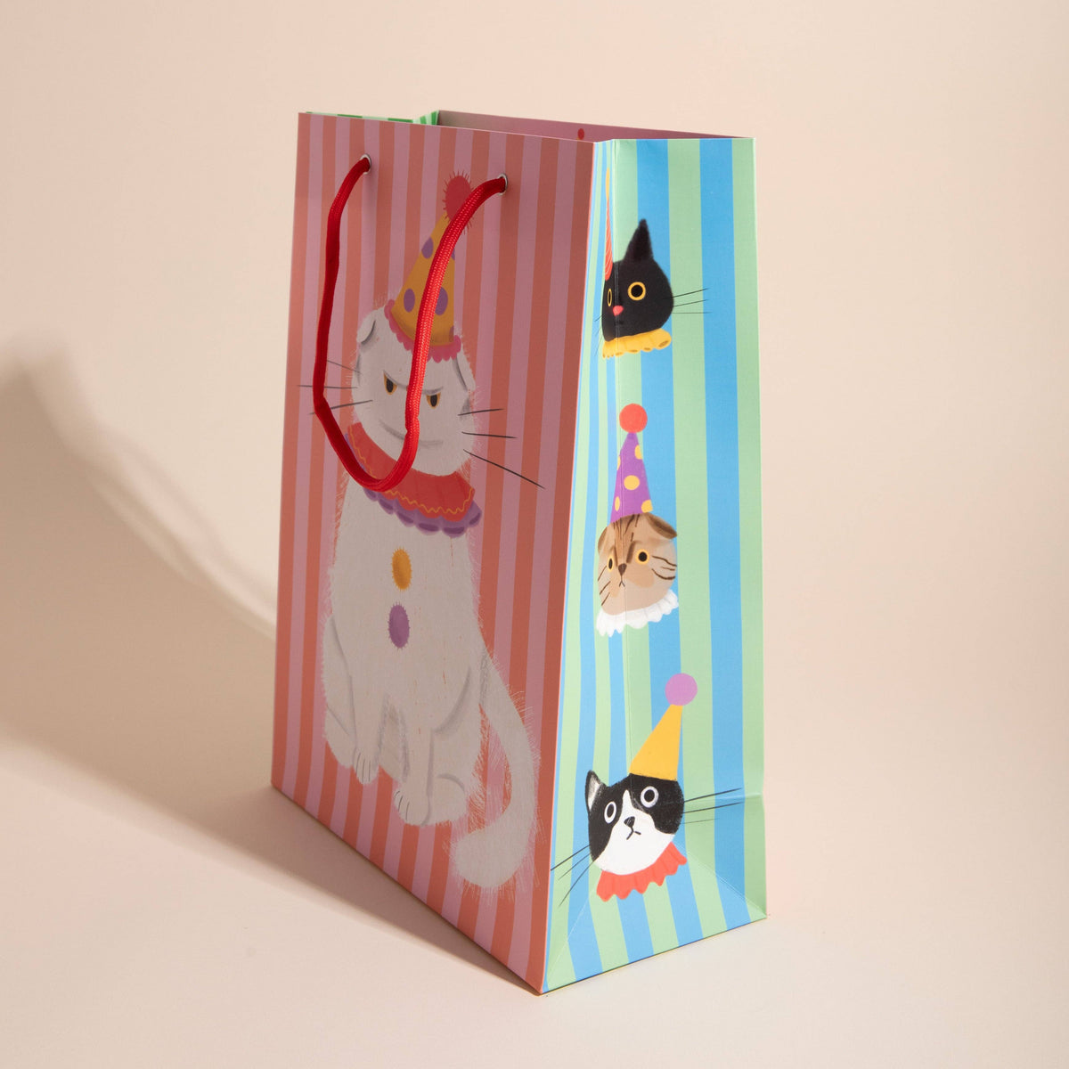 PIERROT THE CAT