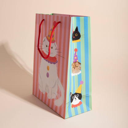 PIERROT THE CAT
