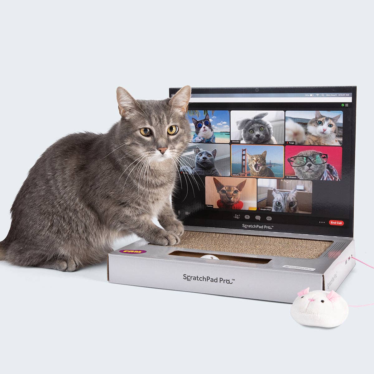 What Do You Meme - ScratchPad Pro — Cardboard Laptop Cat Scratcher
