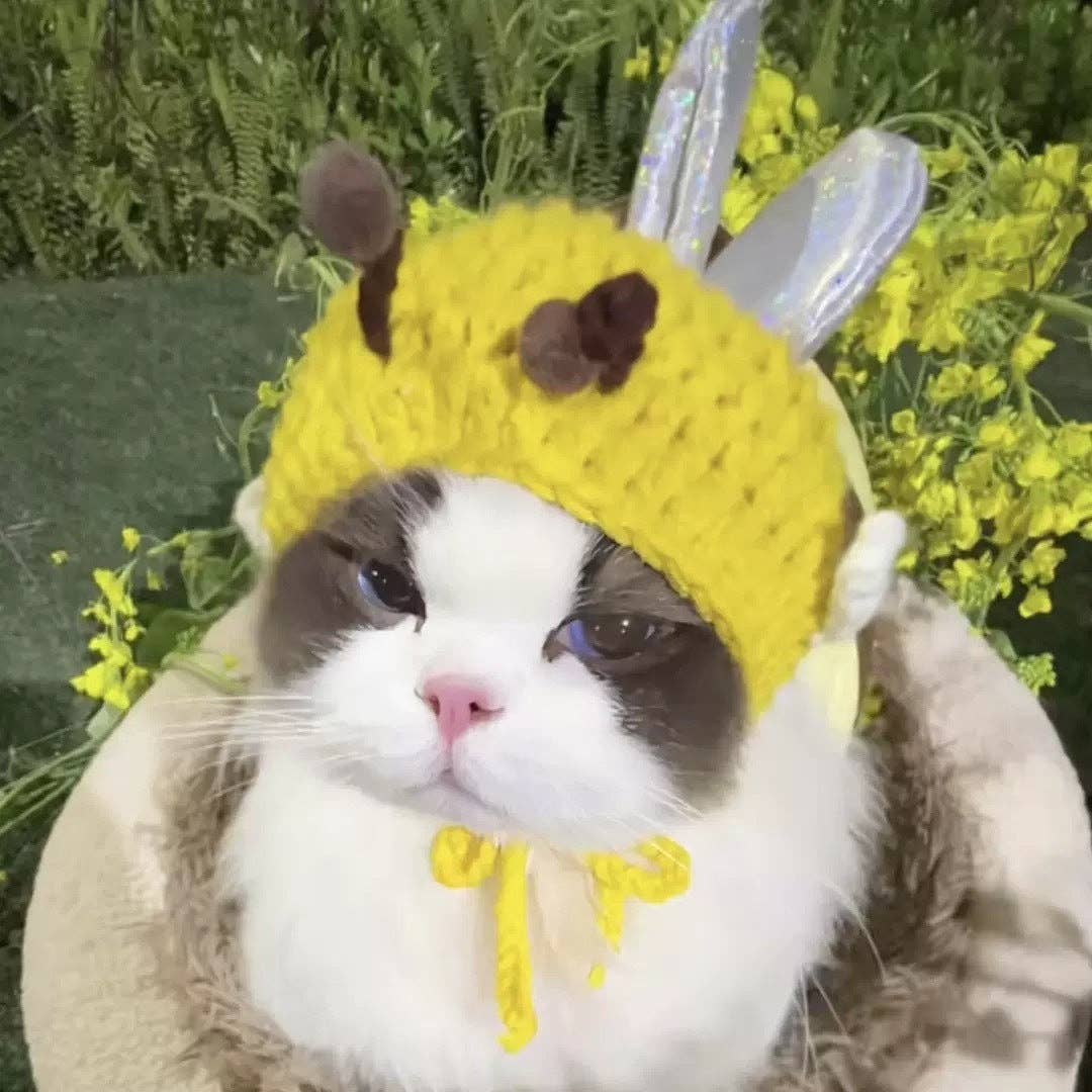 Bumblebee Knit Hat for Cats