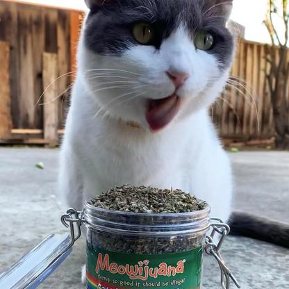 Meowijuana® Jar of Catnibas® Catnip Pawty Mix