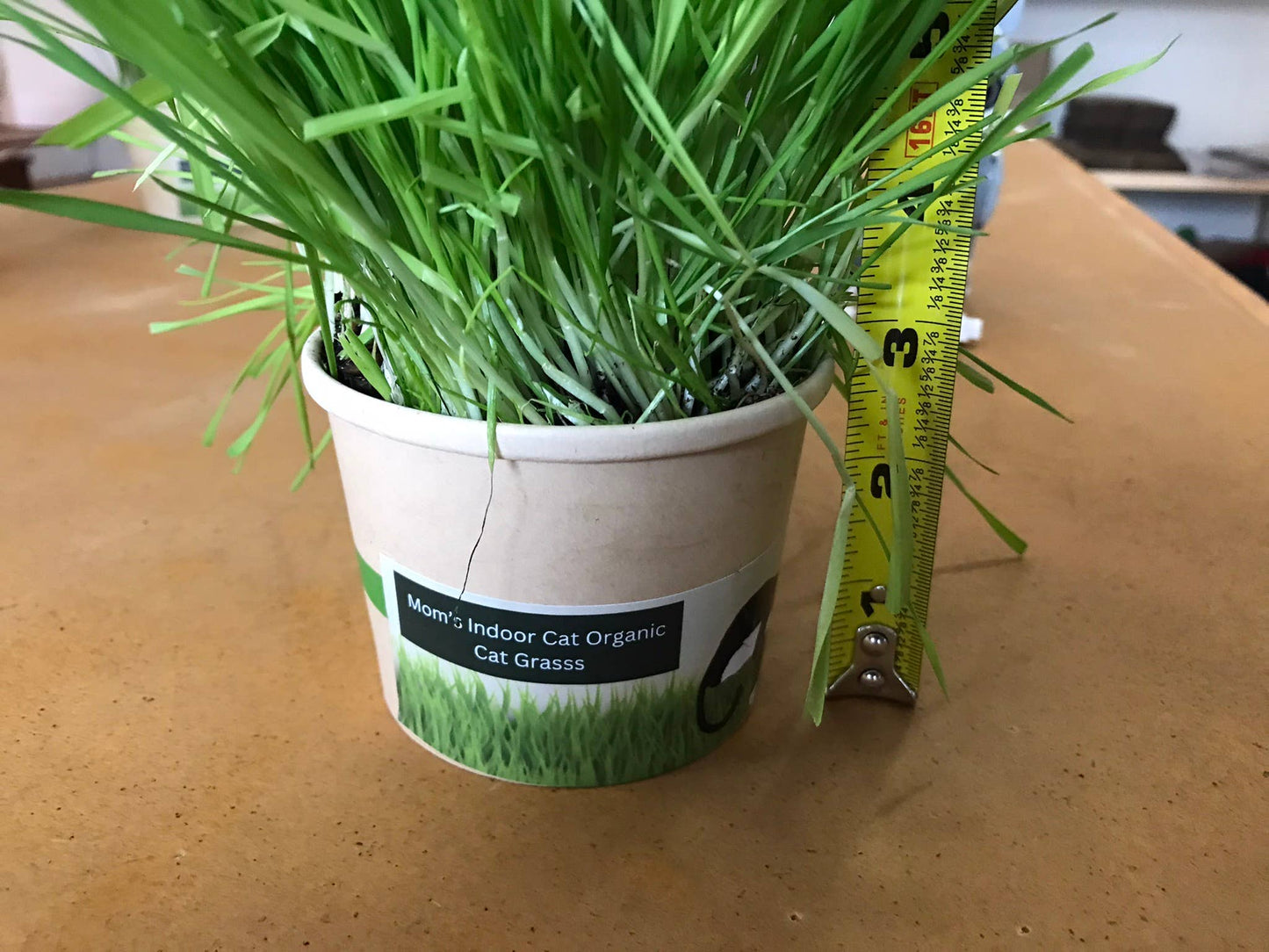 Compostable Cat Grass Cup