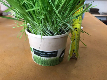 Compostable Cat Grass Cup
