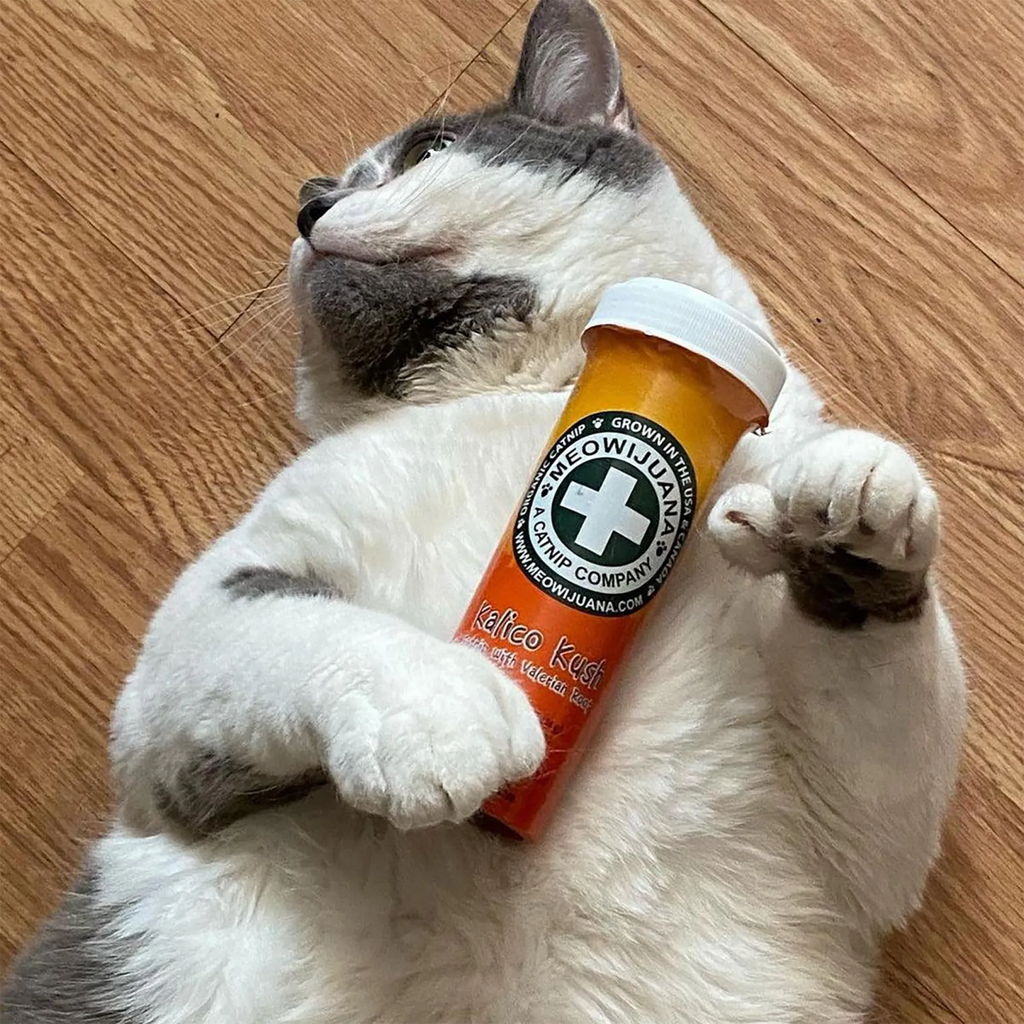 Kalico Kush - Valerian Root and Catnip Blend