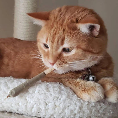 Meowijuana® Catnibas® King Size Rollies