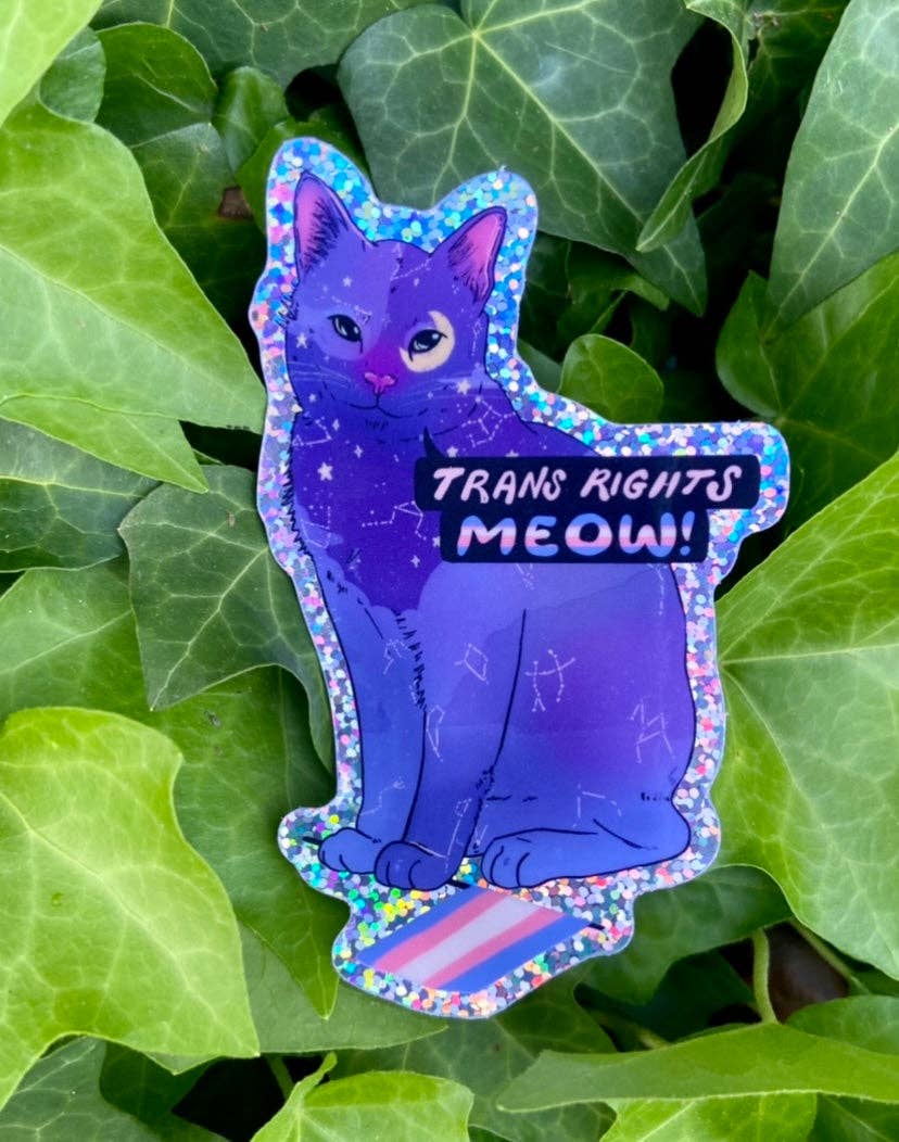 Trans Rights Meow! - Sticker (Glitter)