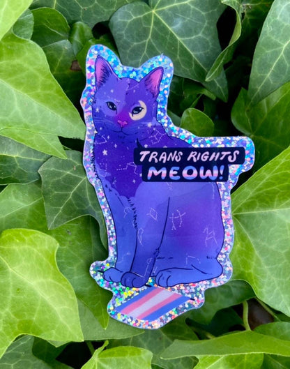 Trans Rights Meow! - Sticker (Glitter)