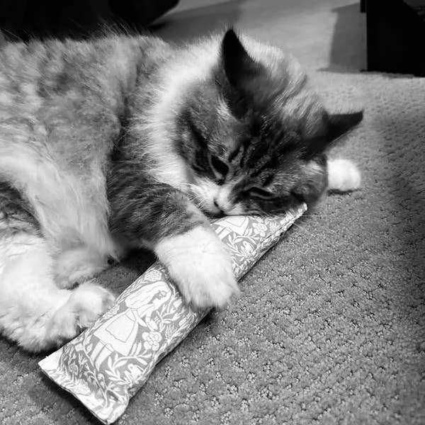 Ciao Gatto Cat Market - Winnifred’s Wild Weed Organic Catnip Cat Kicker 