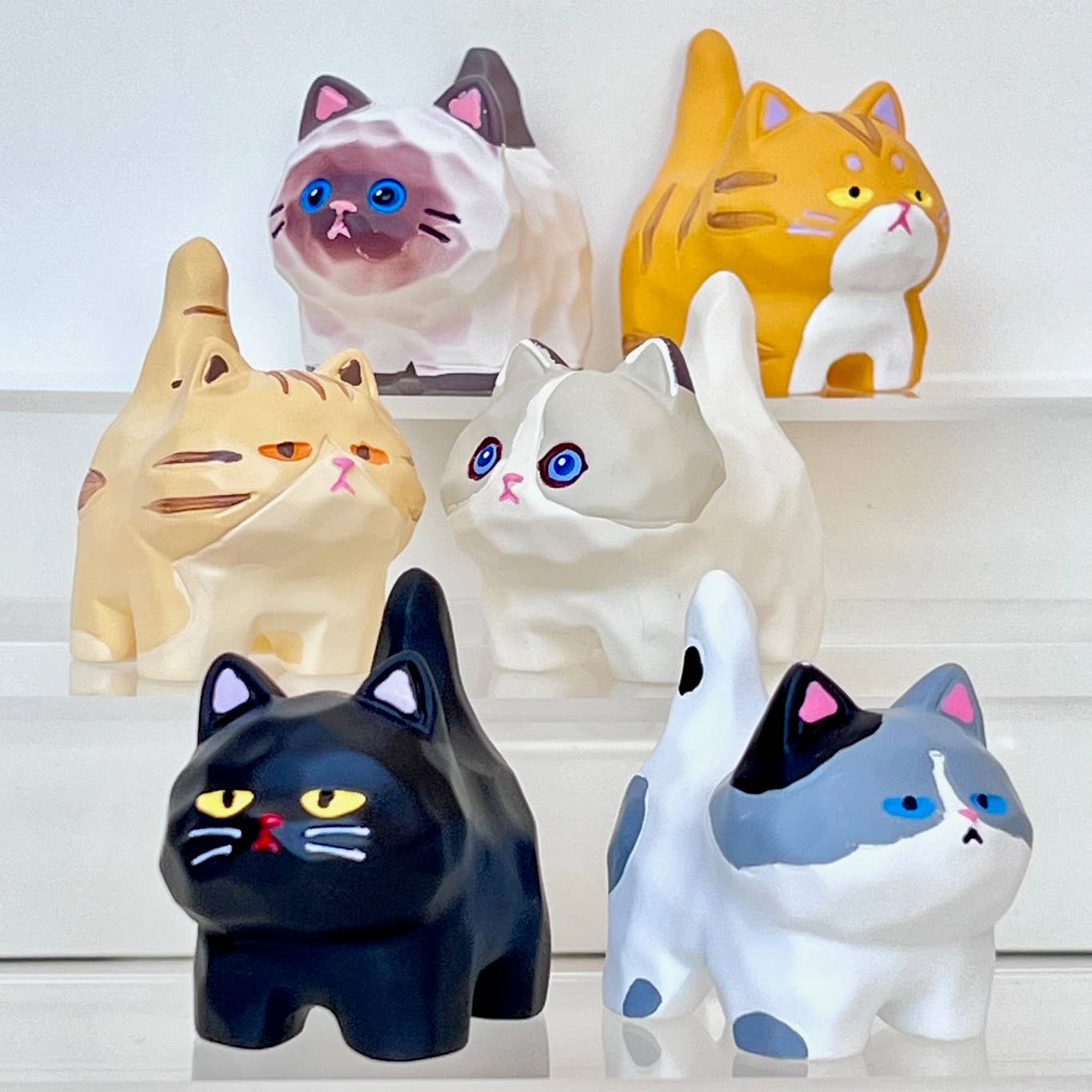 Cat Family Blind Box