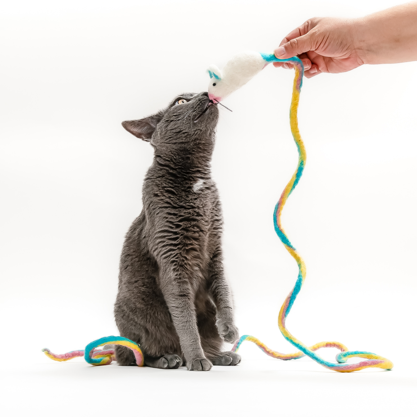 Wool Mouse Cat Toy 6-Foot-Tail - red rainbow unicorn dragon