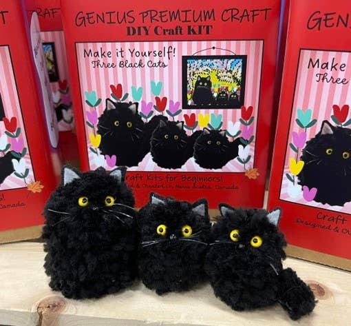 Genius Premium Craft - Maud Lewis-Inspired DIY Fiber Art Kit