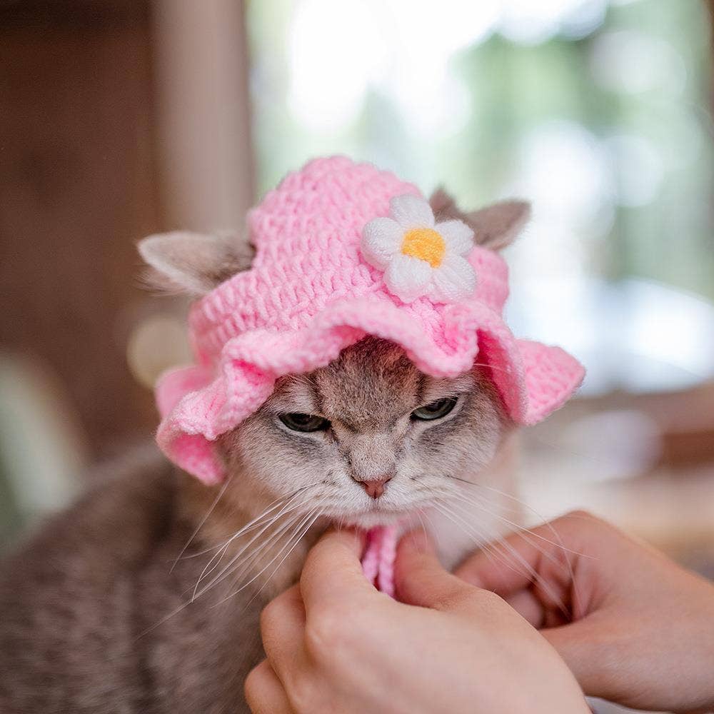 Cute Frog Pet Hat for Small Animals