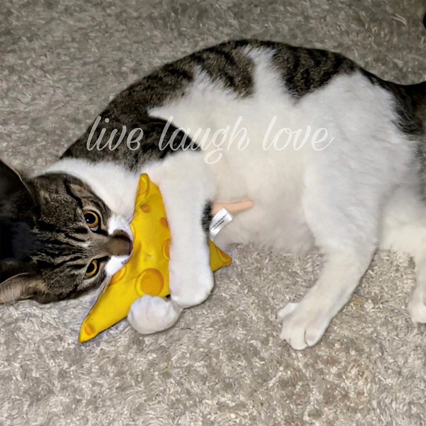 Get Cheezy Cheese & Mouse Refillable Cat Toy