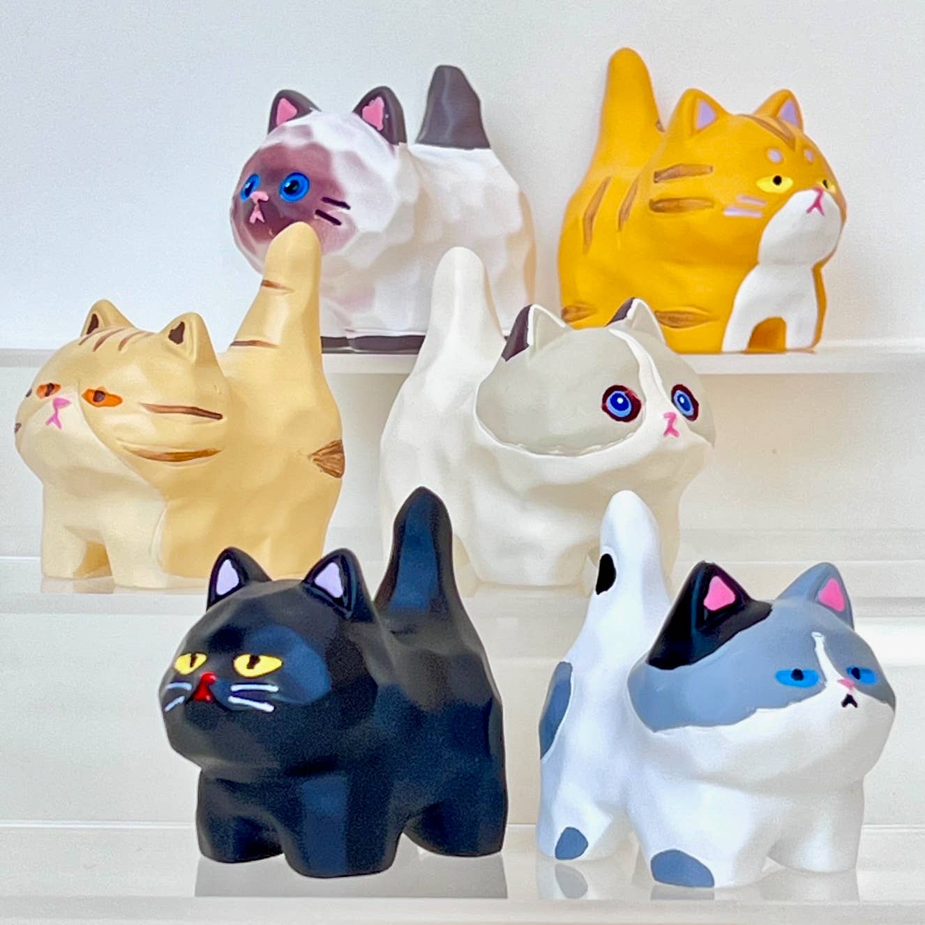 Cat Family Blind Box