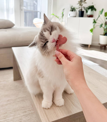 Freeze Dried Lollipops Pet Treats for Cats & Dogs 8 Pc Pack