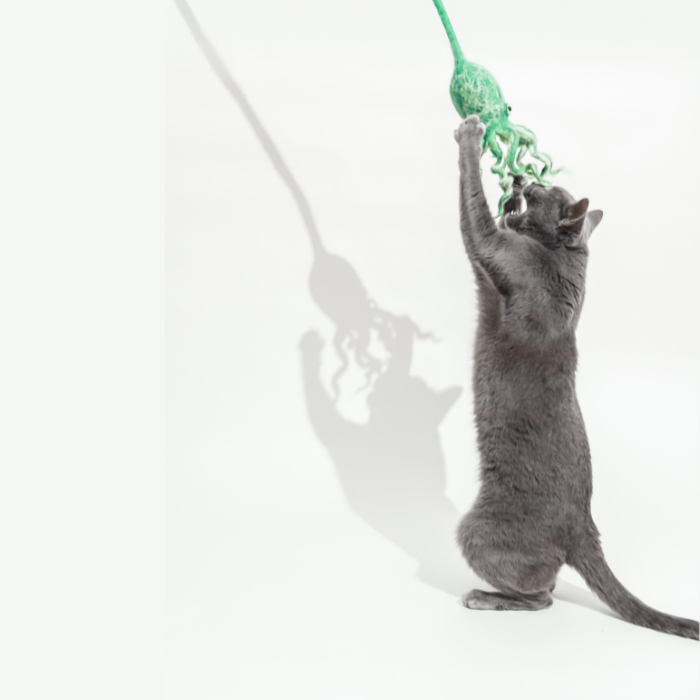 Wool Octopus Cat Toy with 4-Foot Tether - blue, green