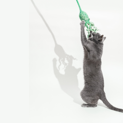 Wool Octopus Cat Toy with 4-Foot Tether - blue, green
