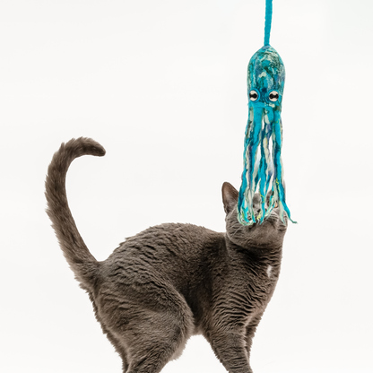Wool Octopus Cat Toy with 4-Foot Tether - blue, green