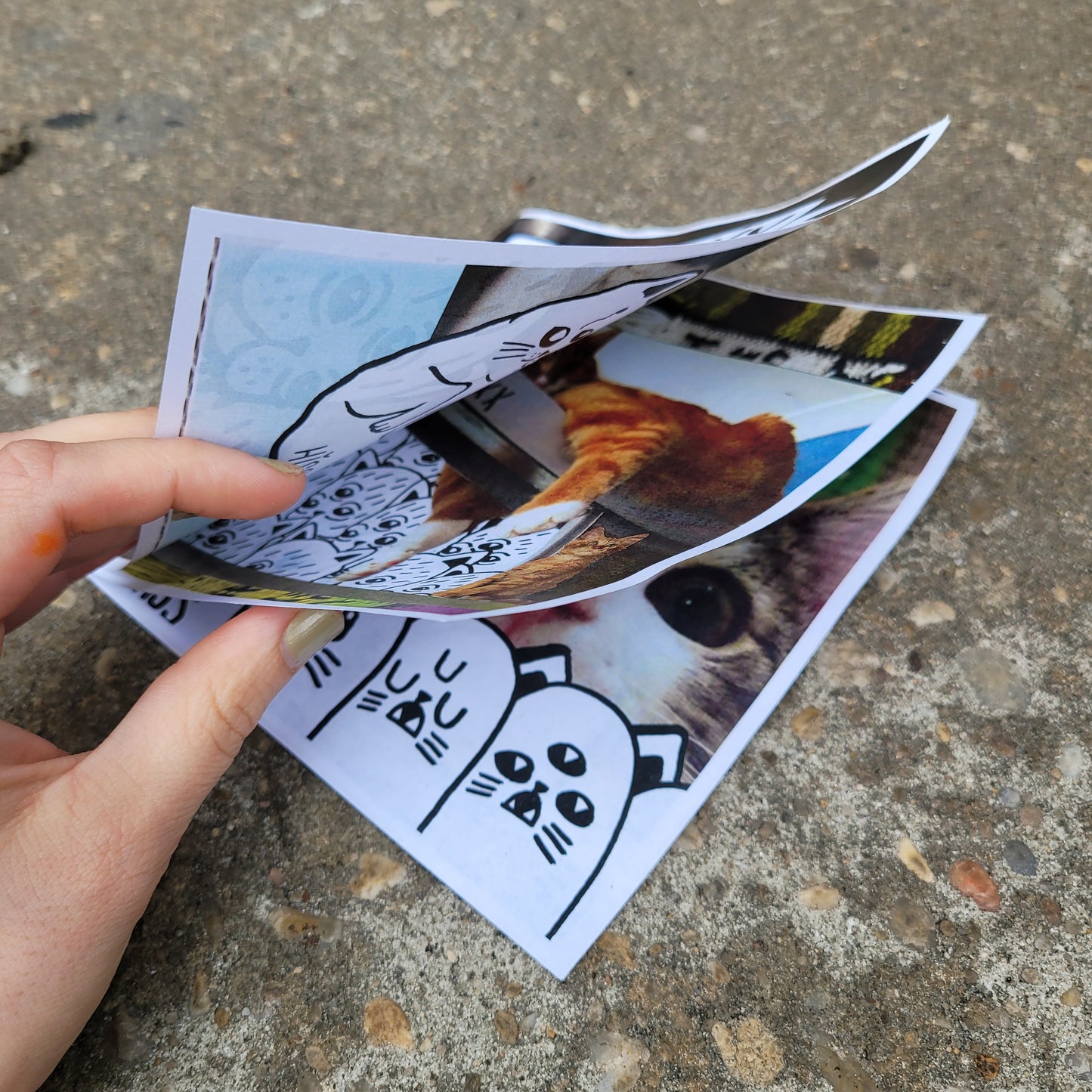 Hiss Art cat zine