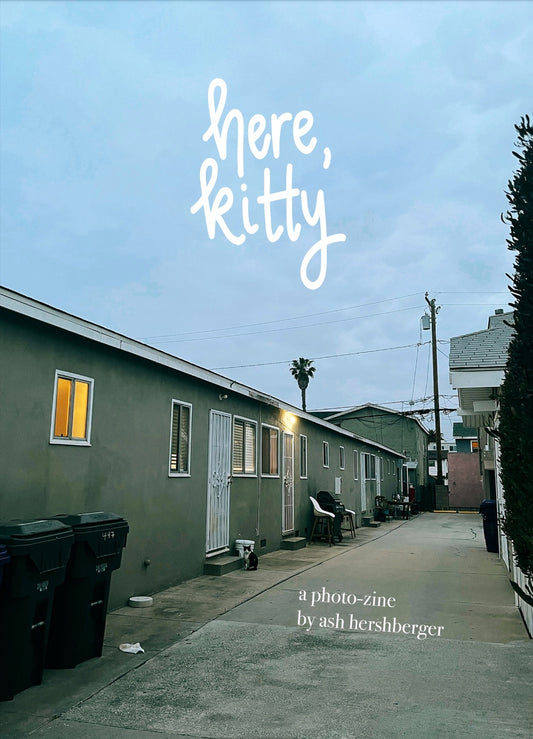 here, kitty by Ashley Hershberger