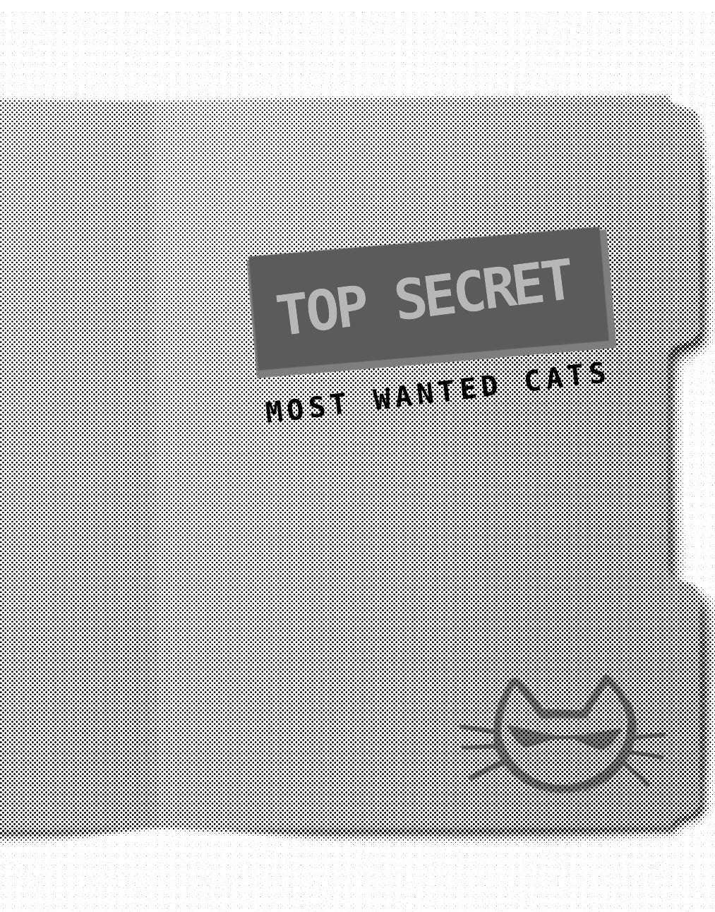 Zines by Cat Fan