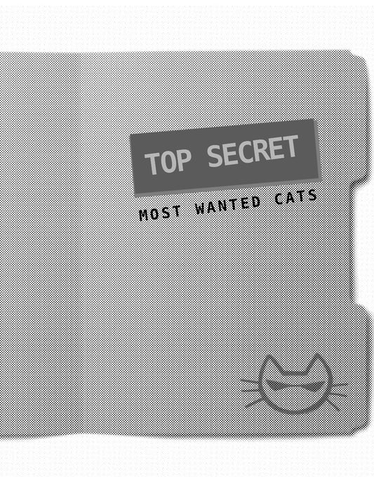 Zines by Cat Fan