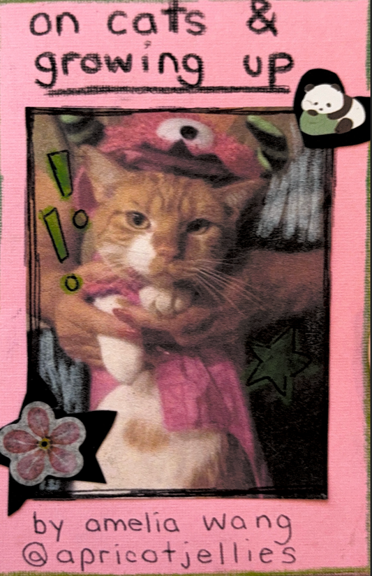 On Cats & Growing Up by Amelia Wang