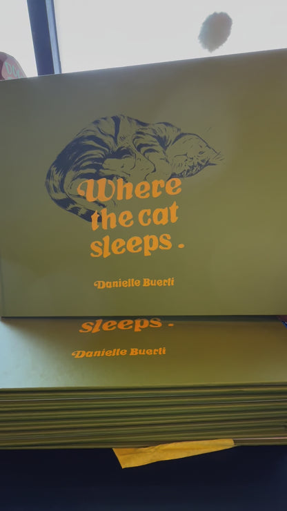 Where The Cat Sleeps by Danielle Buerti
